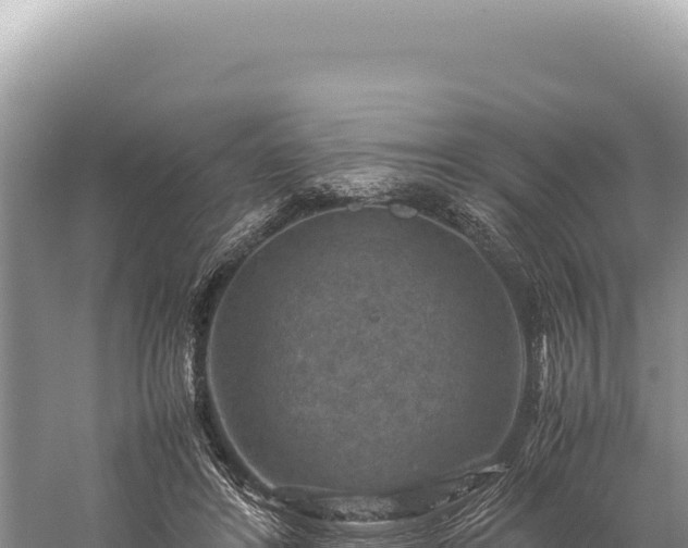 X0000059250404200510211634