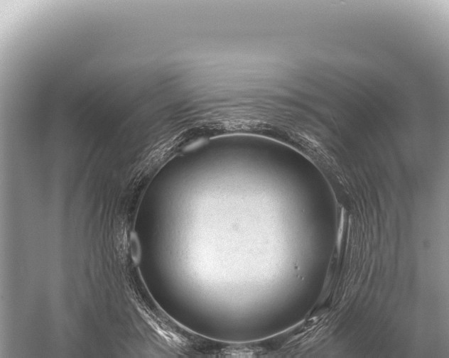 X0000059250405200510211634