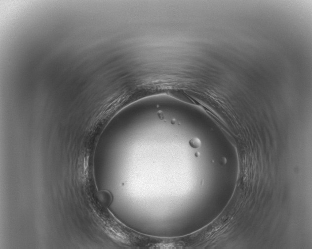 X0000059250406200510211634