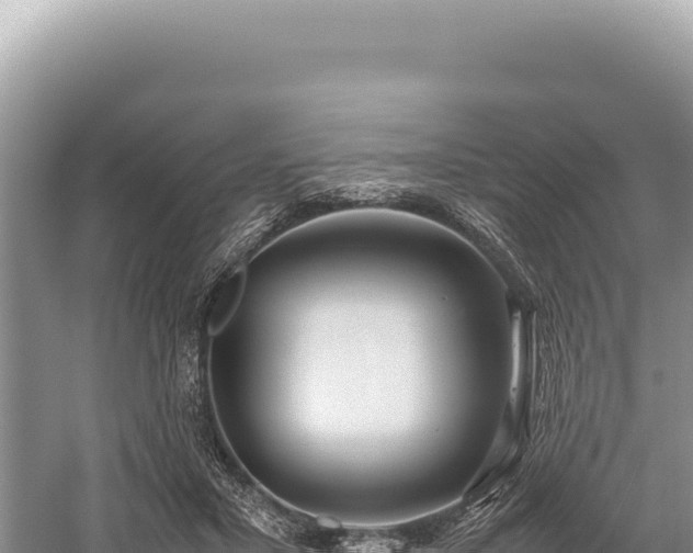 X0000059250407200510211634