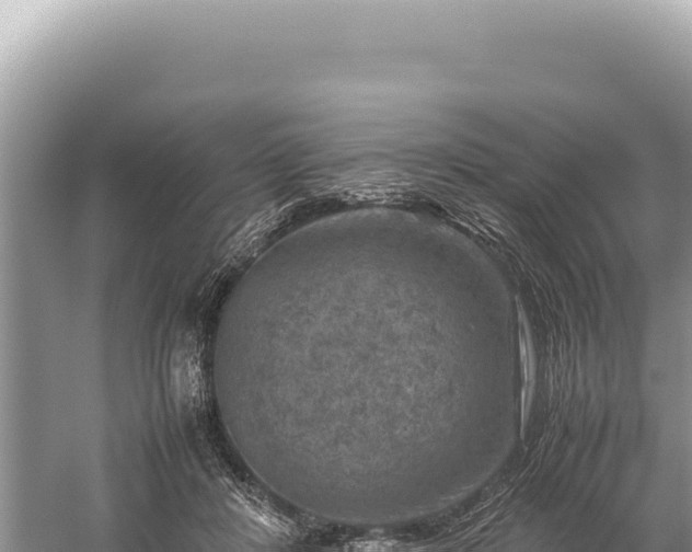 X0000059250408200510211634