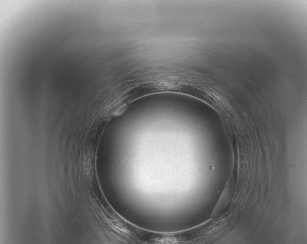 X0000059250409200510211634