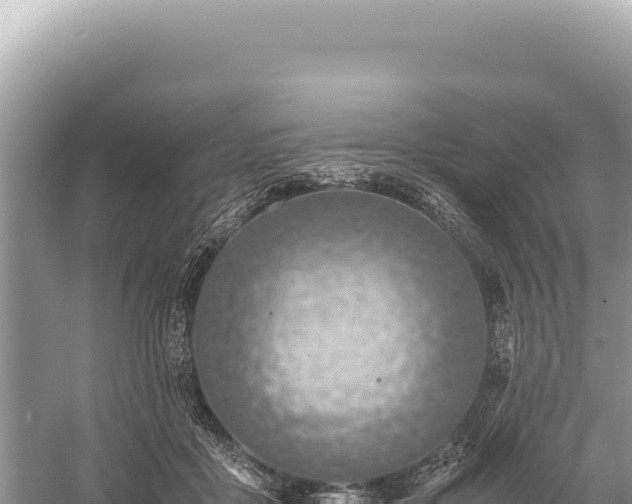 X0000059250411200510211634