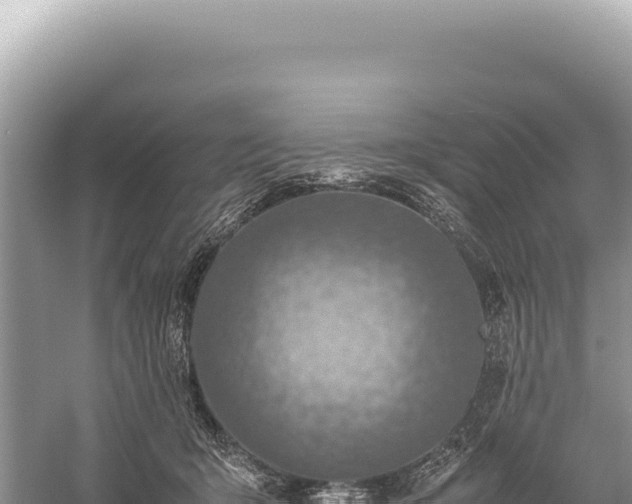 X0000059250415200510211634