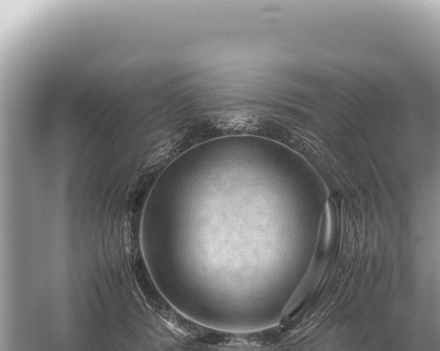 X0000059250416200510211634