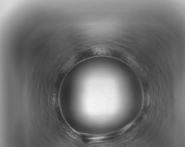 X0000059250417200510211634