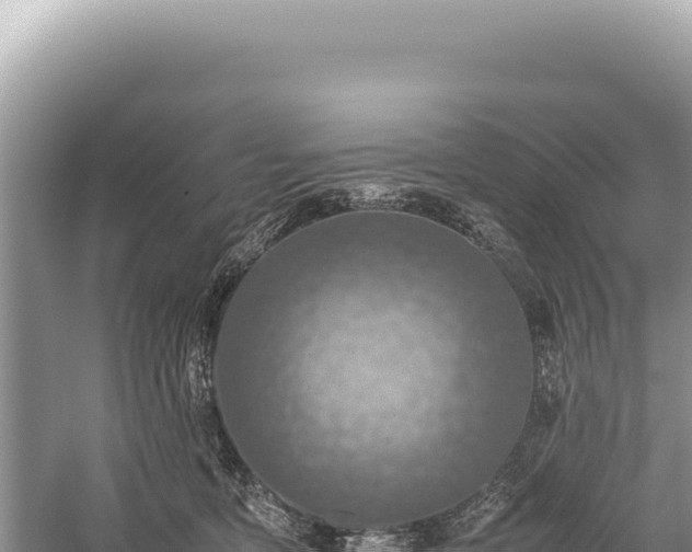 X0000059250419200510211634