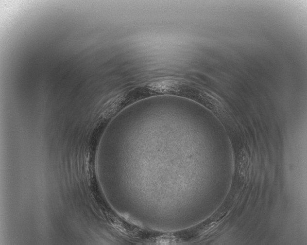 X0000059250420200510211634