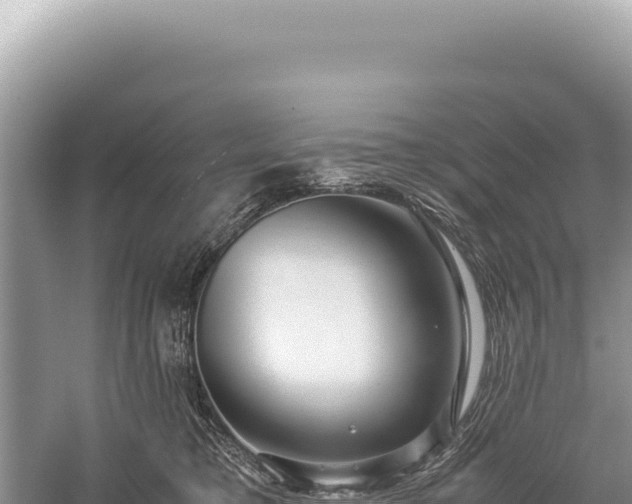 X0000059250421200510211634