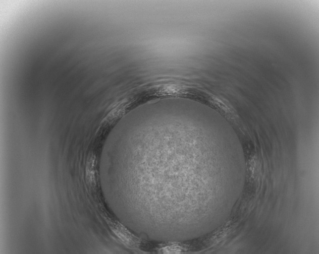 X0000059250423200510211634