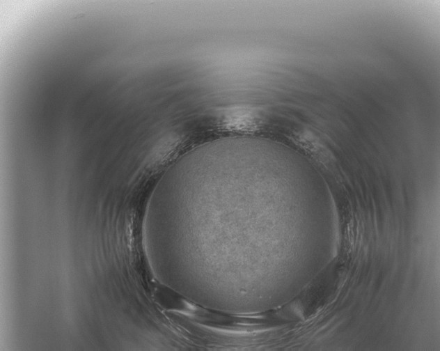 X0000059250424200510211634