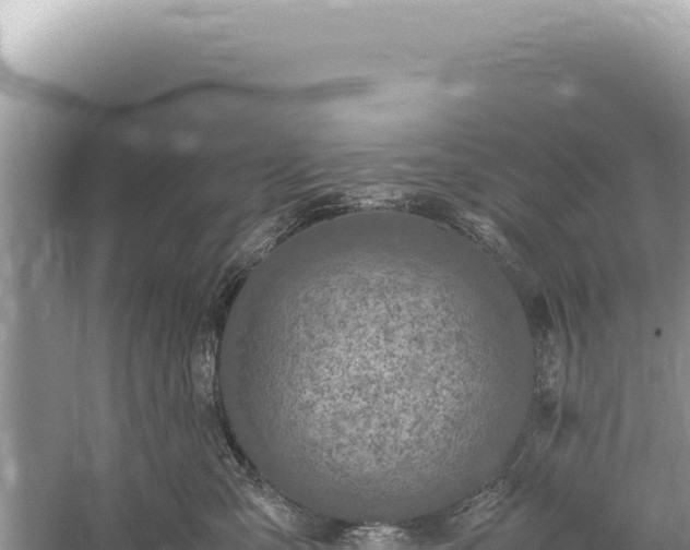 X0000059250427200510211634