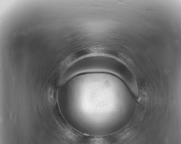 X0000059250428200510211634