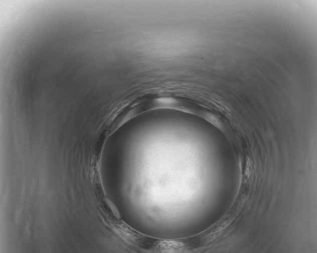 X0000059250429200510211634