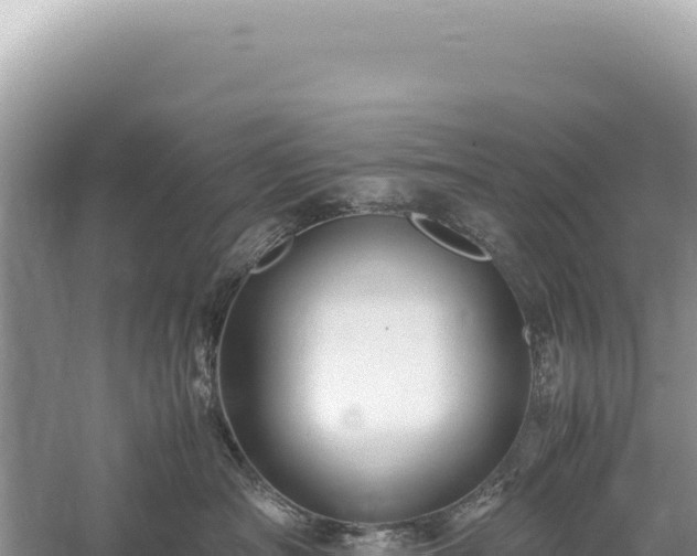 X0000059250430200510211634