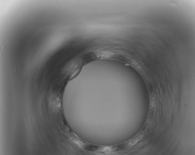 X0000059250431200510211634