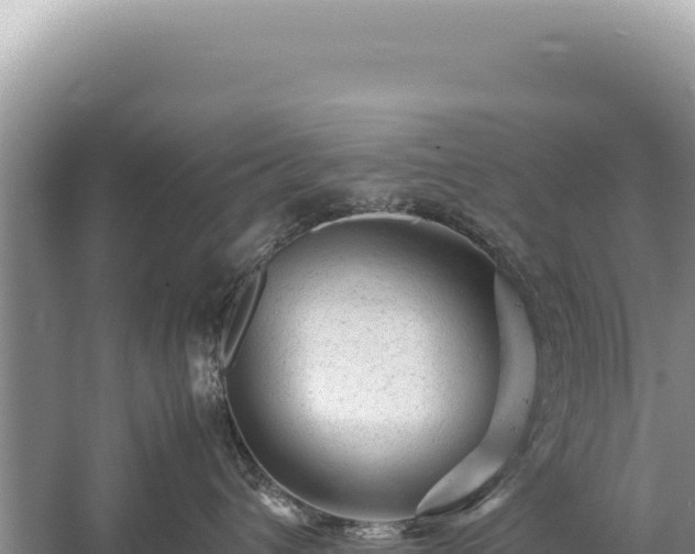 X0000059250432200510211634