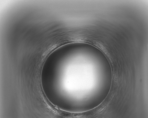 X0000059250433200510211633