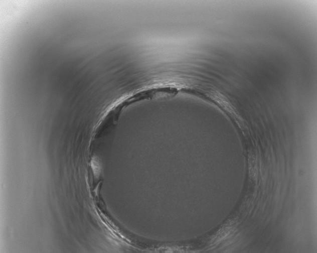 X0000059250434200510211633