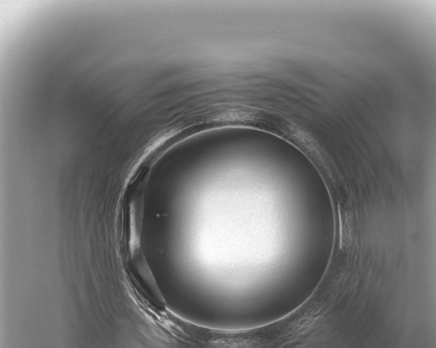 X0000059250435200510211633