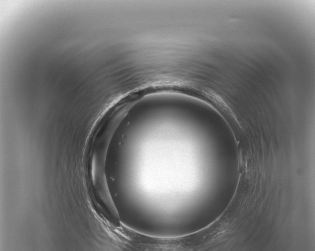 X0000059250436200510211633