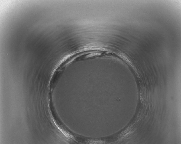 X0000059250438200510211633