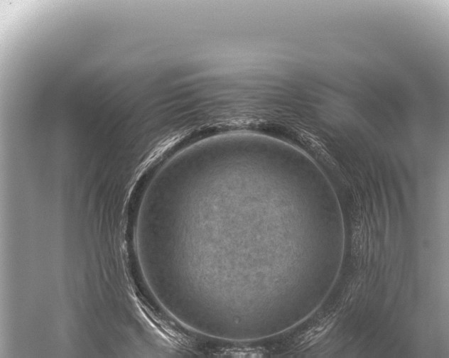 X0000059250443200510211633