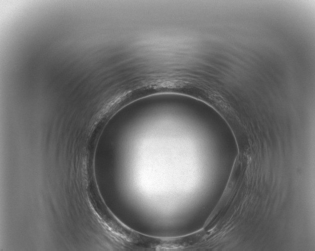 X0000059250444200510211633