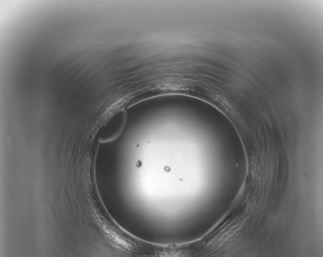 X0000059250445200510211633