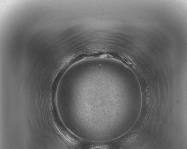 X0000059250447200510211633