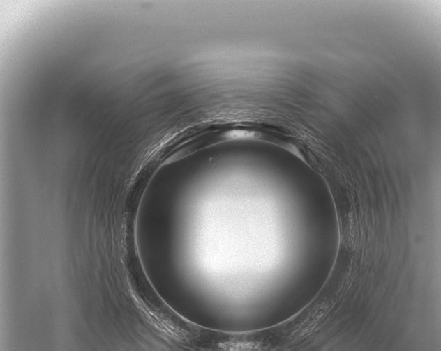 X0000059250448200510211633