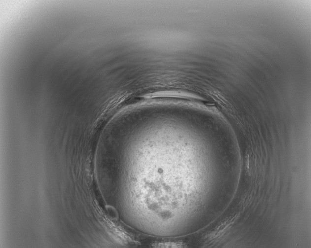 X0000059250449200510211633