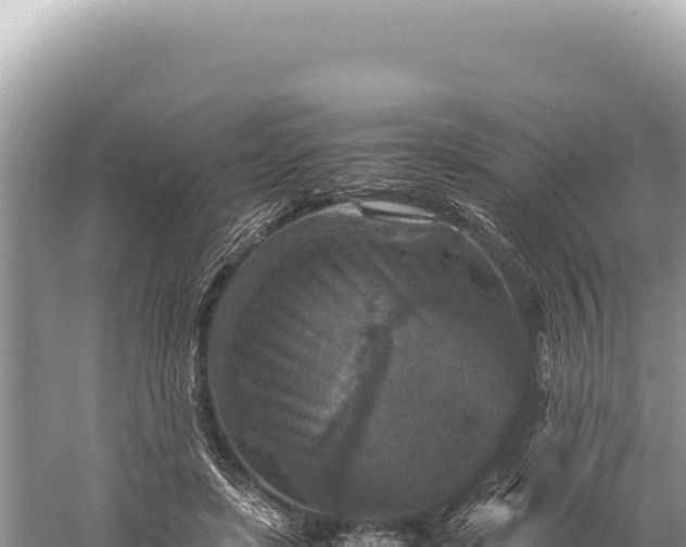 X0000059250451200510211633