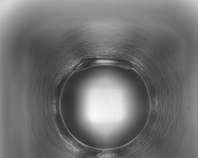 X0000059250452200510211633