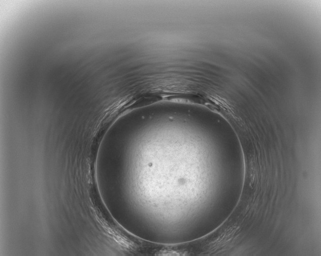 X0000059250453200510211633