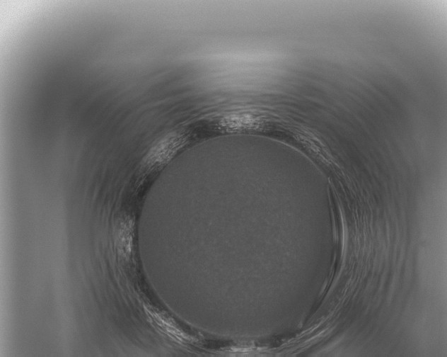 X0000059250458200510211633