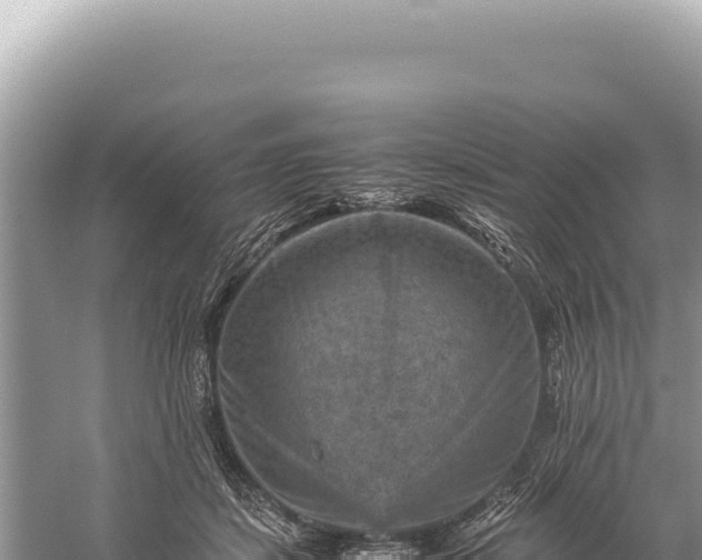 X0000059250459200510211633