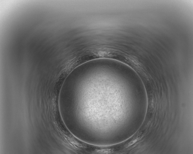 X0000059250461200510211633