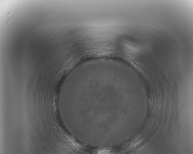 X0000059250462200510211633