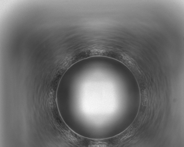 X0000059250463200510211633