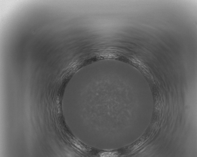 X0000059250465200510211633