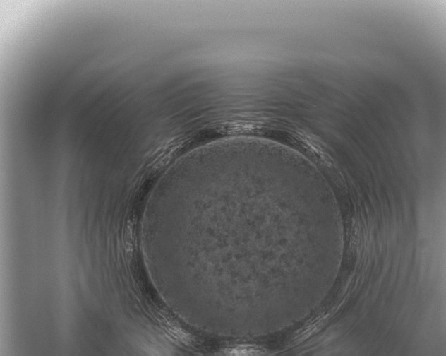 X0000059250467200510211633