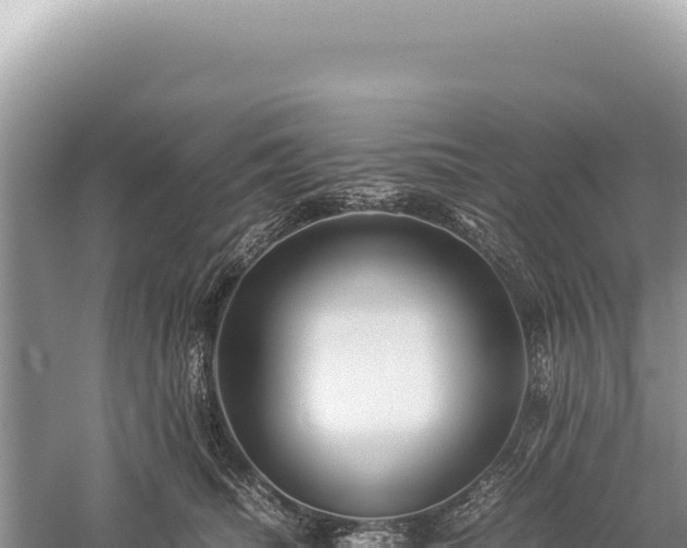 X0000059250468200510211633