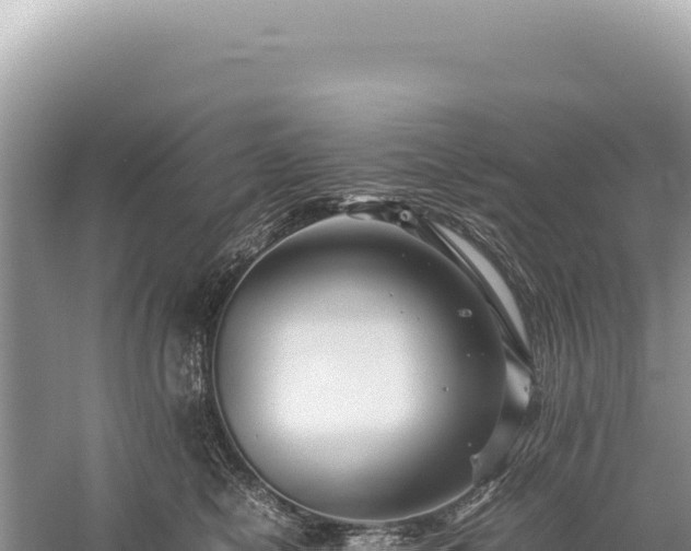 X0000059250470200510211633