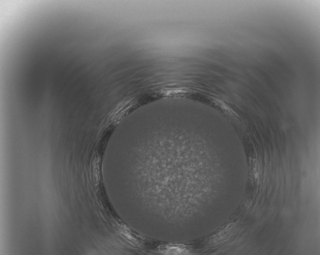 X0000059250475200510211633