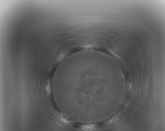 X0000059250479200510211633