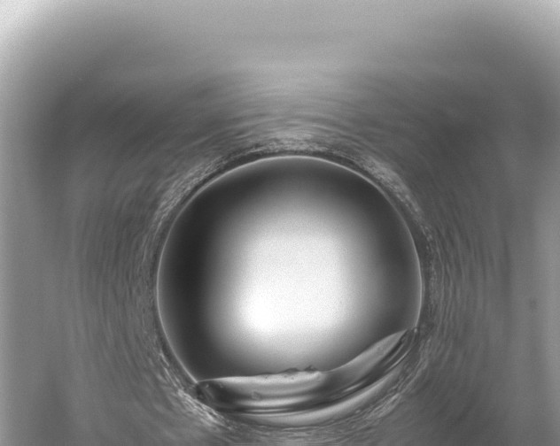 X0000059250481200510211633