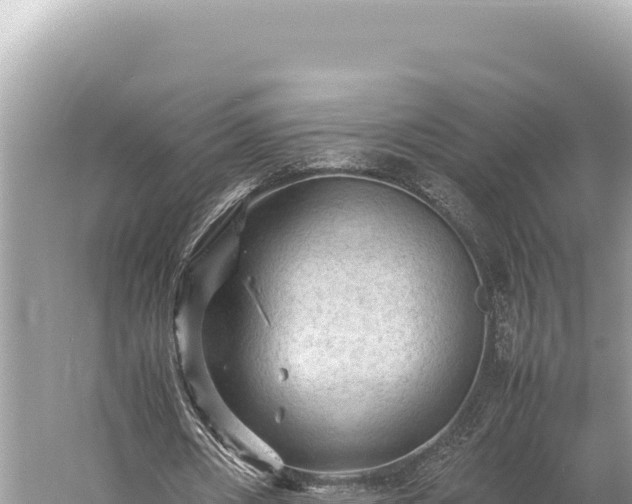 X0000059250482200510211633