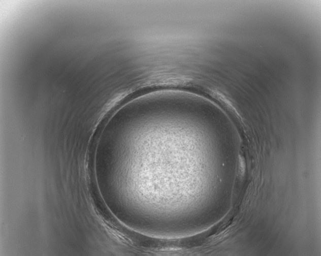 X0000059250483200510211633