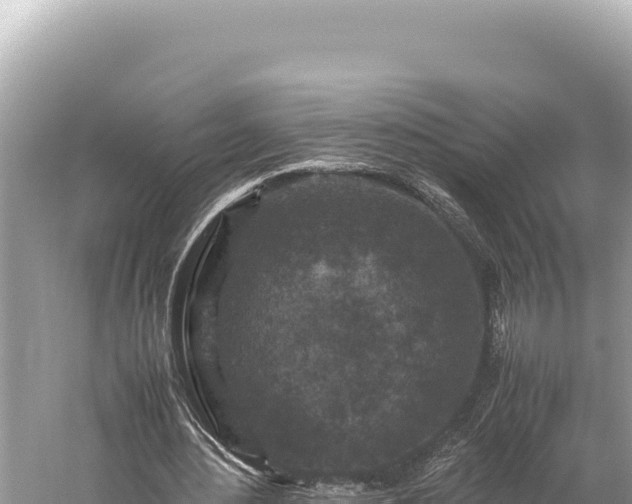 X0000059250484200510211633